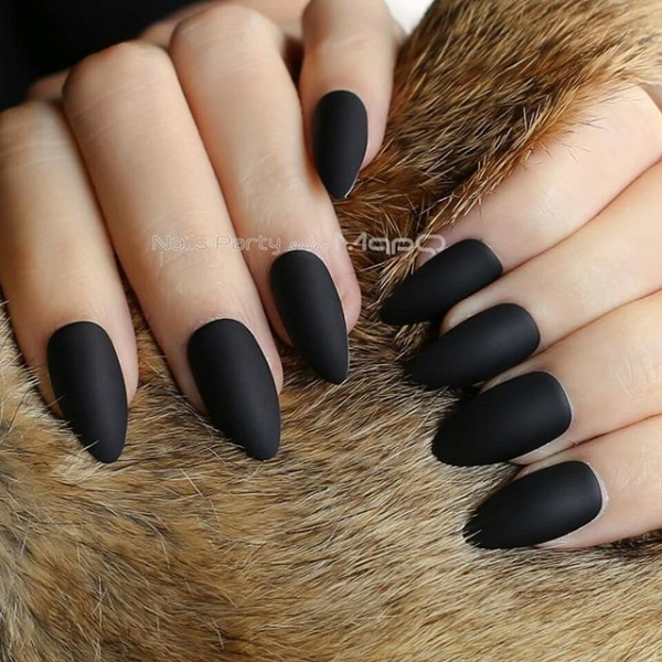 NAIL FAIRY PREMIUM SERIES اظافر تركيب